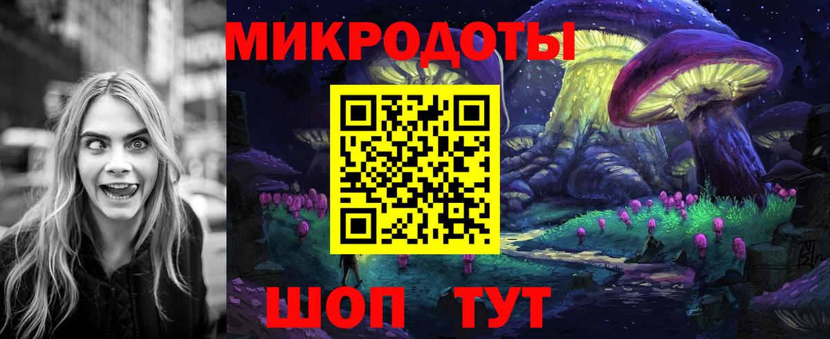 Галлюциногенные грибы Psilocybine cubensis Ижевск